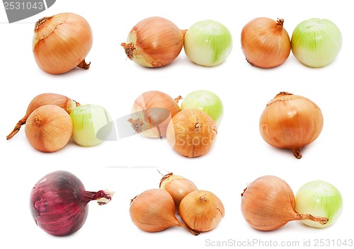 Image of Onion