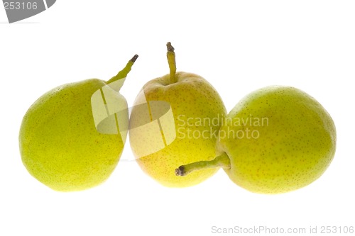 Image of Three pears


