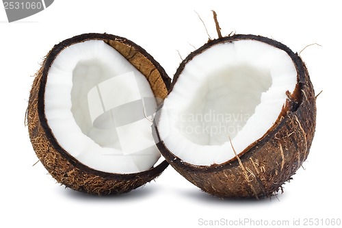 Image of Coconut