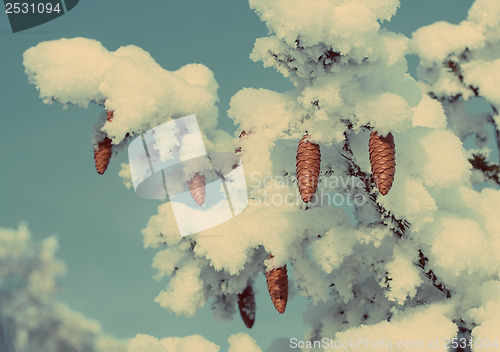 Image of cones on christmas fir branch - vintage retro style