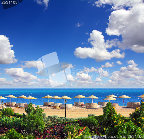 Image of tropical beach and Red Sea