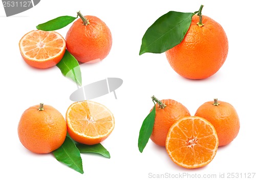 Image of Mandarins