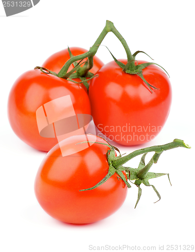 Image of Ripe Tomatoes