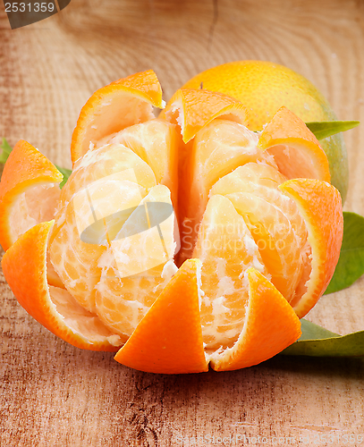 Image of Tangerine with Segments