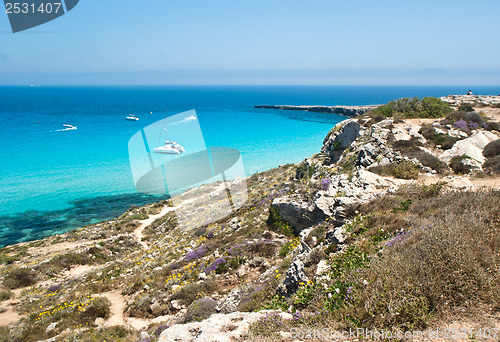 Image of beach of favignana. aegadian island