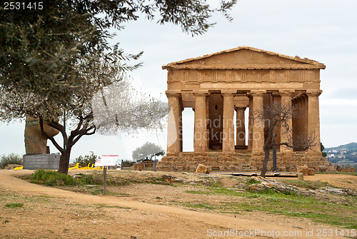 Image of The ruins of Temple of Concordia, Agrigento