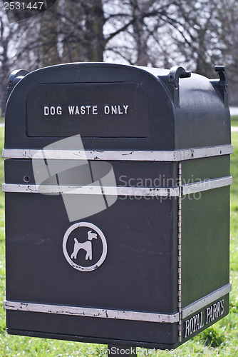 Image of dog waste only