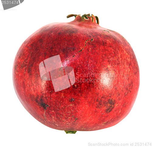 Image of Large red fruit pomegranate