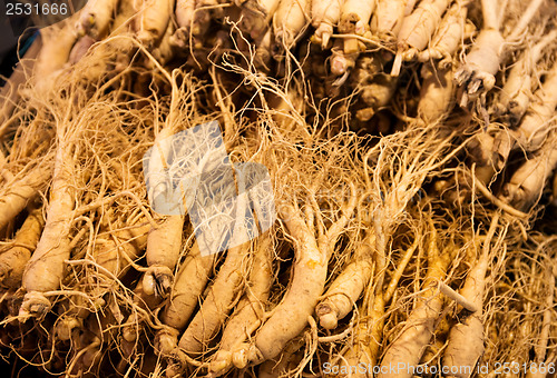 Image of Fresh ginseng in food market