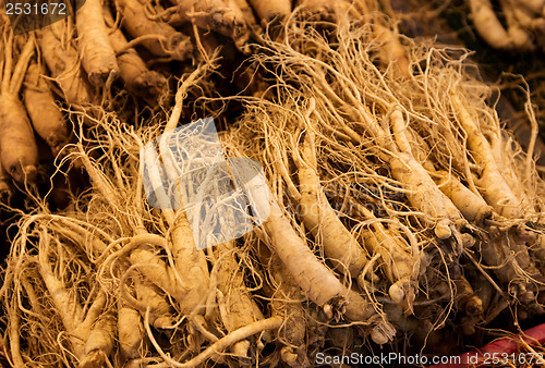 Image of Fresh ginseng for sell