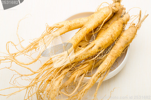 Image of Fresh Ginseng stick