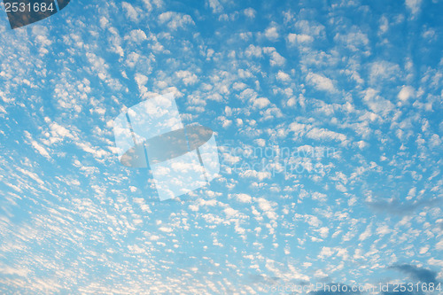 Image of Sunny day cloudscape