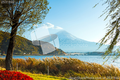 Image of Mt. Fuji in autumn