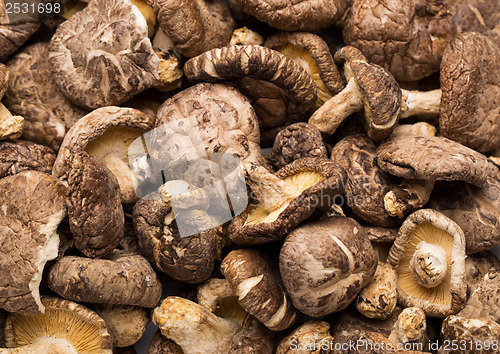 Image of Dried mushrooms