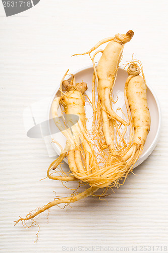 Image of Fresh Ginseng over the white background