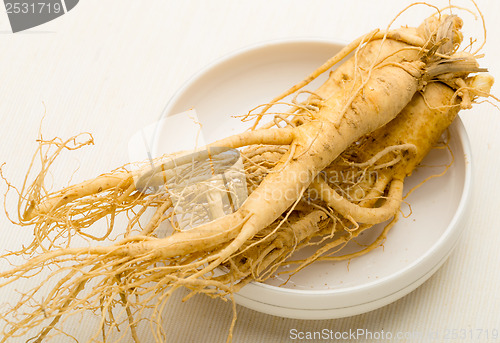 Image of Fresh Ginseng