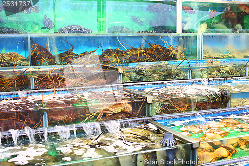 Image of Seafood market fish tank in Hong Kong