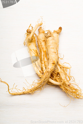 Image of Fresh Ginseng isolated on white