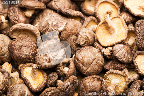 Image of Heap of the dried mushrooms