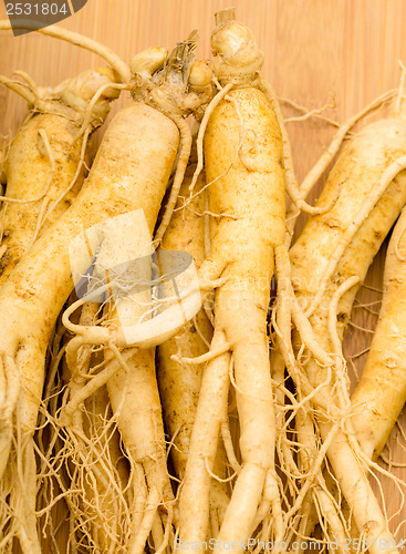 Image of Fresh Ginseng