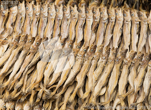 Image of Dry salty fish