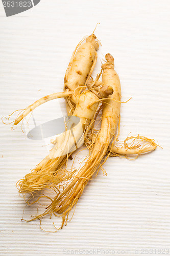 Image of Fresh Ginseng over the white background