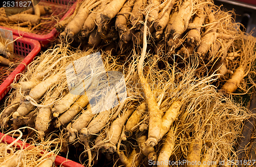 Image of Fresh ginseng in food market