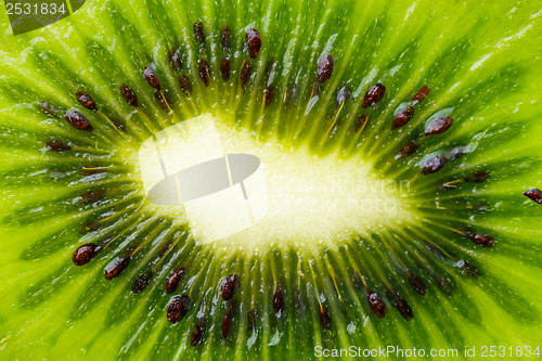 Image of Green kiwi