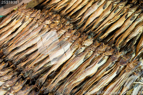 Image of Dry salty fish