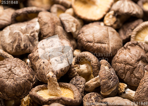 Image of Dried mushrooms