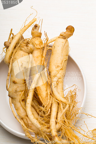 Image of Fresh Ginseng