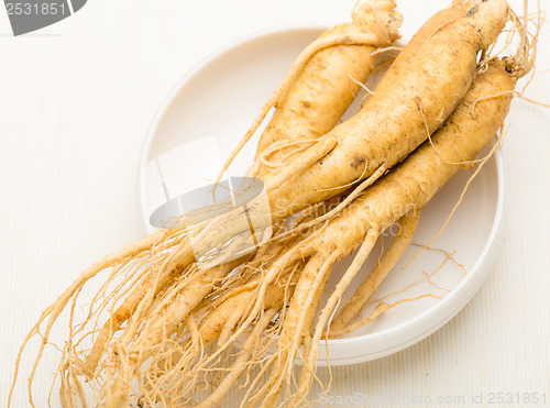 Image of Fresh Ginseng in the bowl