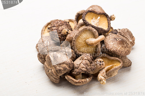 Image of Dried mushrooms isolated on white