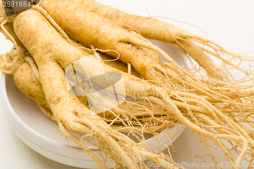 Image of Fresh Ginseng texture