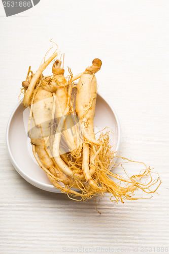Image of Fresh Ginseng on the white bowl