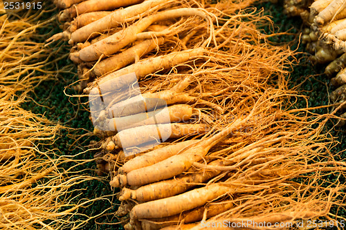 Image of Fresh ginseng in food market