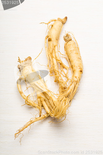 Image of Fresh Ginseng