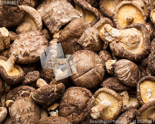 Image of Dried mushrooms