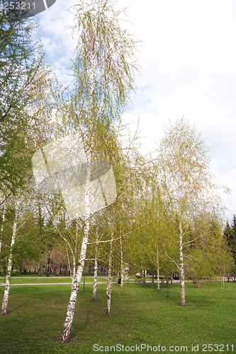 Image of City park landscape