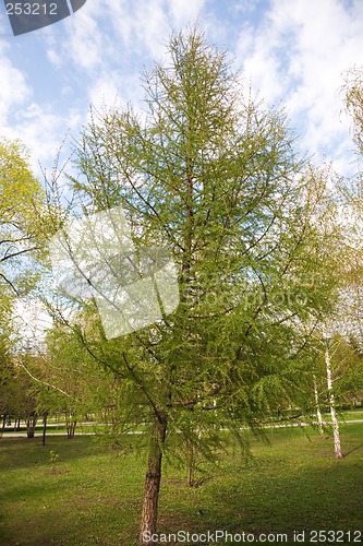 Image of City park landscape