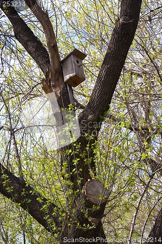 Image of Birdhouse