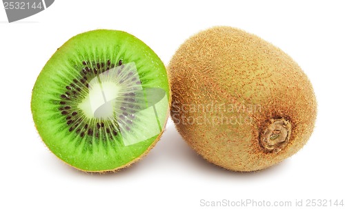 Image of Kiwi