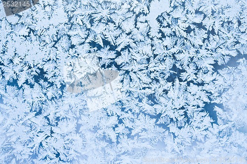 Image of Frost pattern