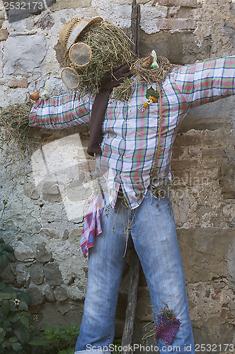 Image of Scarecrow