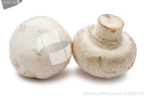 Image of Champignon mushrooms