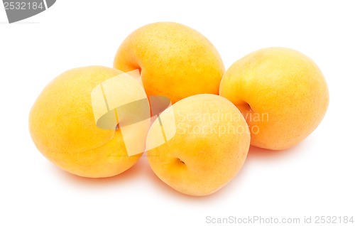 Image of Apricots