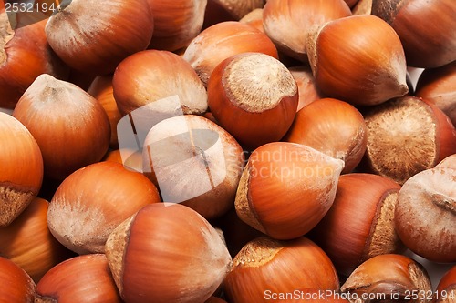 Image of Hazelnuts or filbert