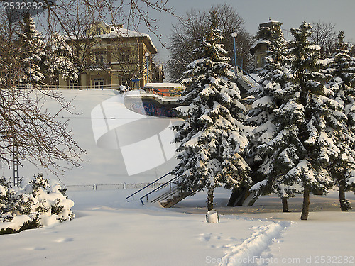 Image of Winter time - beauty in nature