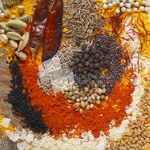 Image of Curry spices