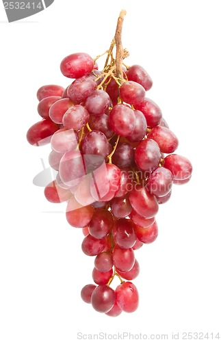 Image of Grapes